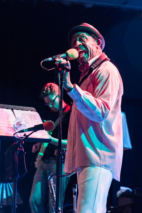 The Grandmothers of Invention @ De Casino Sint-Niklaas, picture 21, photographed by Guy Danneels - FrontView Magazine