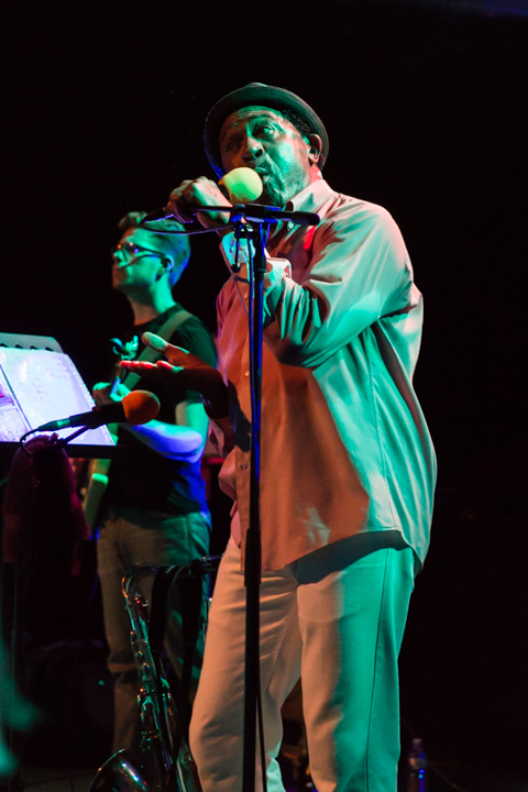 The Grandmothers of Invention @ De Casino Sint-Niklaas, picture 25, photographed by Guy Danneels - FrontView Magazine