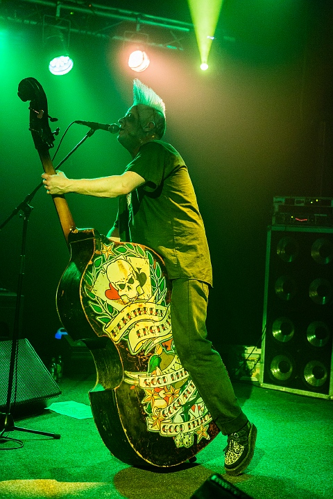 Demented Are Go @ De Pit, picture 22, photographed by Edwin Houdevelt - FrontView Magazine