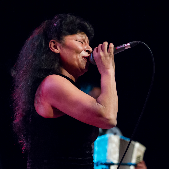 Taraf de Haidouks @ De Casino Sint-Niklaas, picture 30, photographed by Guy Danneels - FrontView Magazine