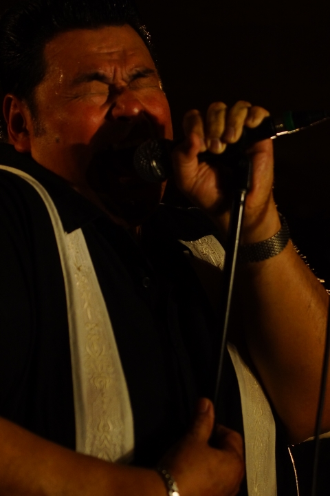 Memo Gonzalez & The bluescasters @ MOD Hasselt, picture 11, photographed by benny antoniw - FrontView Magazine