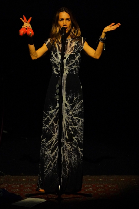 Heather Nova @ C-MINE Genk, picture 10, photographed by benny antoniw - FrontView Magazine