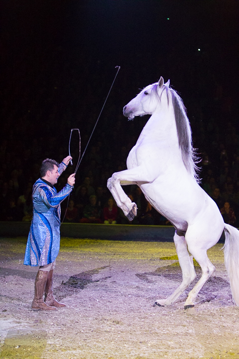 Apassionata @ Sportpaleis, picture 1, photographed by Kjell Putteman - FrontView Magazine