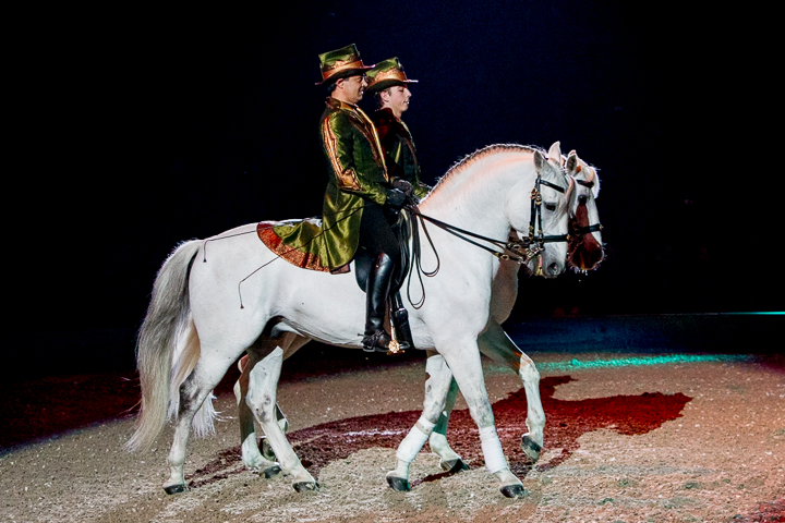 Apassionata @ Sportpaleis, picture 8, photographed by Kjell Putteman - FrontView Magazine