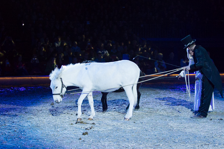 Apassionata @ Sportpaleis, picture 27, photographed by Kjell Putteman - FrontView Magazine