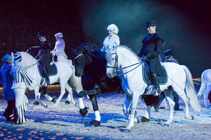 Apassionata @ Sportpaleis, picture 29, photographed by Kjell Putteman - FrontView Magazine