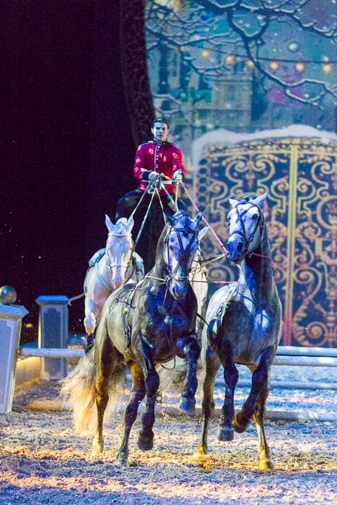 Apassionata @ Sportpaleis, picture 40, photographed by Kjell Putteman - FrontView Magazine