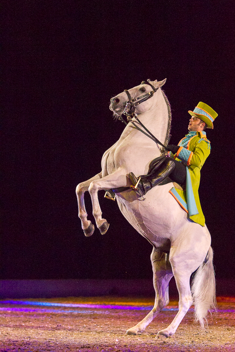 Apassionata @ Sportpaleis, picture 55, photographed by Kjell Putteman - FrontView Magazine