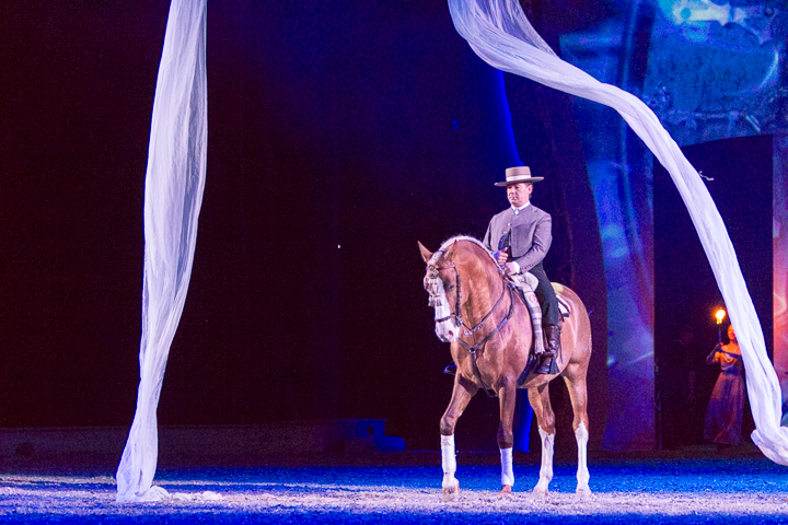 Apassionata @ Sportpaleis, picture 56, photographed by Kjell Putteman - FrontView Magazine