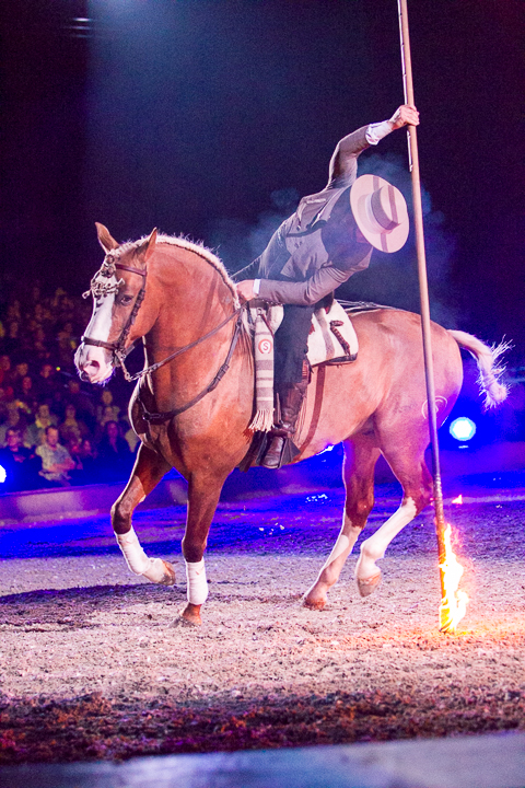 Apassionata @ Sportpaleis, picture 58, photographed by Kjell Putteman - FrontView Magazine