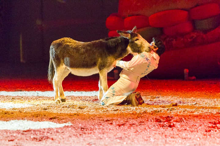 Apassionata @ Sportpaleis, picture 70, photographed by Kjell Putteman - FrontView Magazine