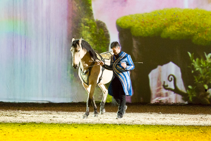 Apassionata @ Sportpaleis, picture 76, photographed by Kjell Putteman - FrontView Magazine