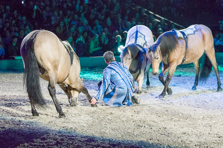 Apassionata @ Sportpaleis, picture 79, photographed by Kjell Putteman - FrontView Magazine