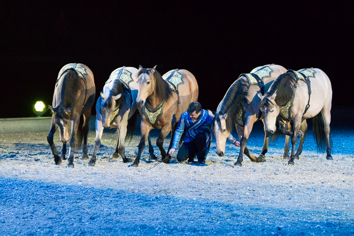Apassionata @ Sportpaleis, picture 80, photographed by Kjell Putteman - FrontView Magazine
