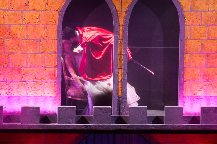 Première Doornroosje de musical @ Stadsschouwburg Antwerpen, picture 18, photographed by Dimitri Vanlommel - FrontView Magazine