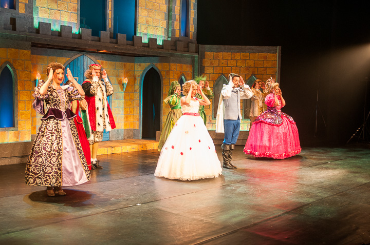 Première Doornroosje de musical @ Stadsschouwburg Antwerpen, picture 41, photographed by Dimitri Vanlommel - FrontView Magazine