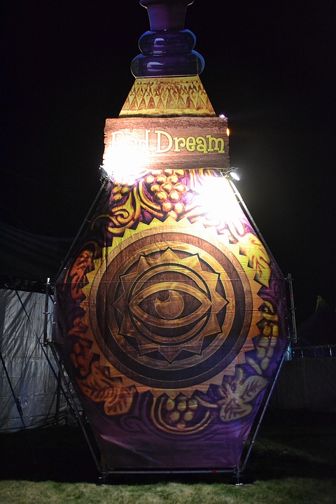 Daydream Festival 2014 @ Lommel, picture 51, photographed by Tom Van Tongerloo - FrontView Magazine