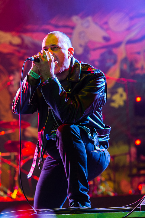 Screeching Weasel @ Groezrock 2014, picture 11, photographed by Edwin Houdevelt - FrontView Magazine