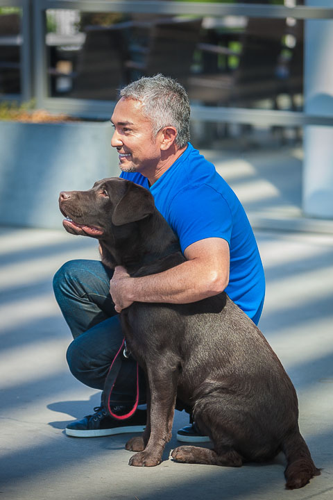 Cesar Milan Press Conference Stadsschouwburg Antwerpen, picture 1, photographed by Kris Saelen - FrontView Magazine