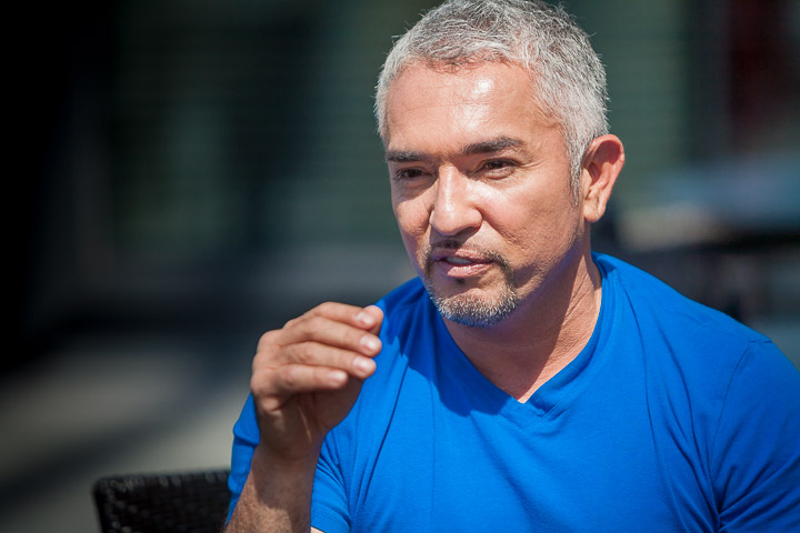 Cesar Milan Press Conference Stadsschouwburg Antwerpen, picture 3, photographed by Kris Saelen - FrontView Magazine