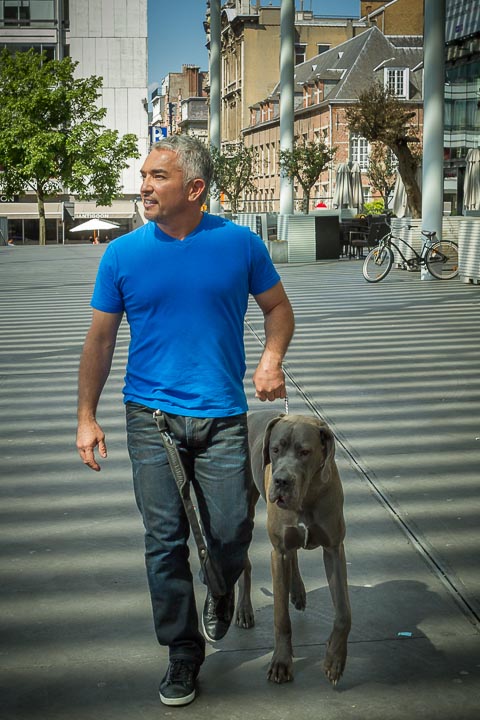 Cesar Milan Press Conference Stadsschouwburg Antwerpen, picture 14, photographed by Kris Saelen - FrontView Magazine