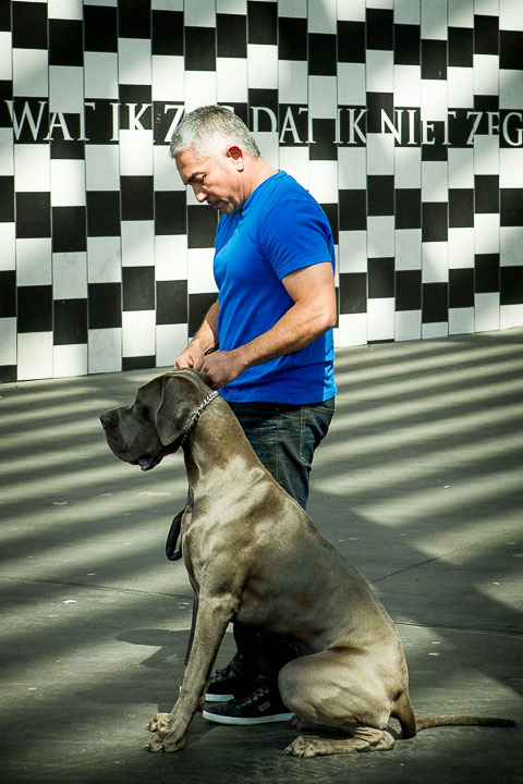Cesar Milan Press Conference Stadsschouwburg Antwerpen, picture 15, photographed by Kris Saelen - FrontView Magazine