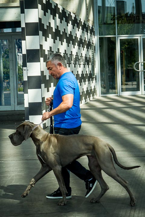 Cesar Milan Press Conference Stadsschouwburg Antwerpen, picture 16, photographed by Kris Saelen - FrontView Magazine