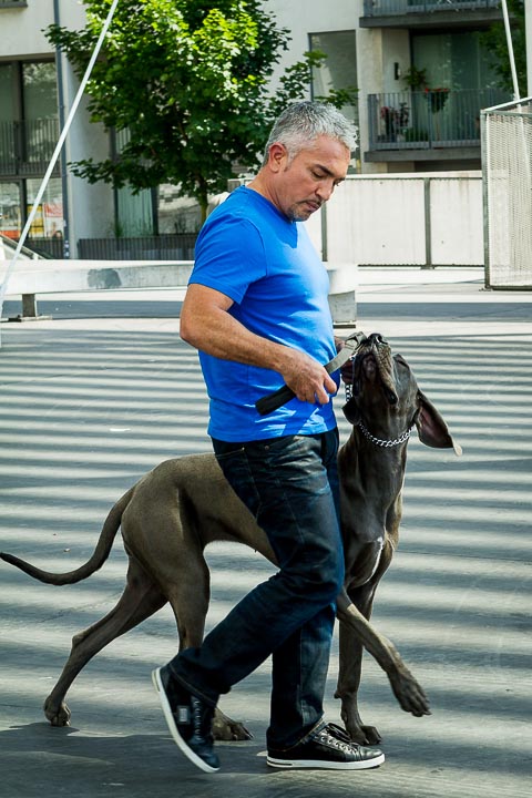 Cesar Milan Press Conference Stadsschouwburg Antwerpen, picture 17, photographed by Kris Saelen - FrontView Magazine