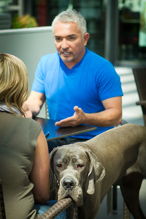 Cesar Milan Press Conference Stadsschouwburg Antwerpen, picture 23, photographed by Kris Saelen - FrontView Magazine