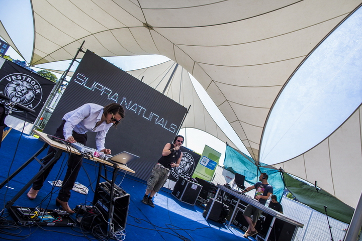 Vestrock 2014 dag 2 @ Hulst, picture 5, photographed by sven dullaert - FrontView Magazine
