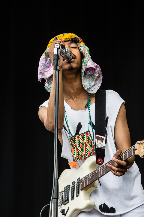 The Bots @ Best Kept Secret 2014, picture 5, photographed by Edwin Houdevelt - FrontView Magazine