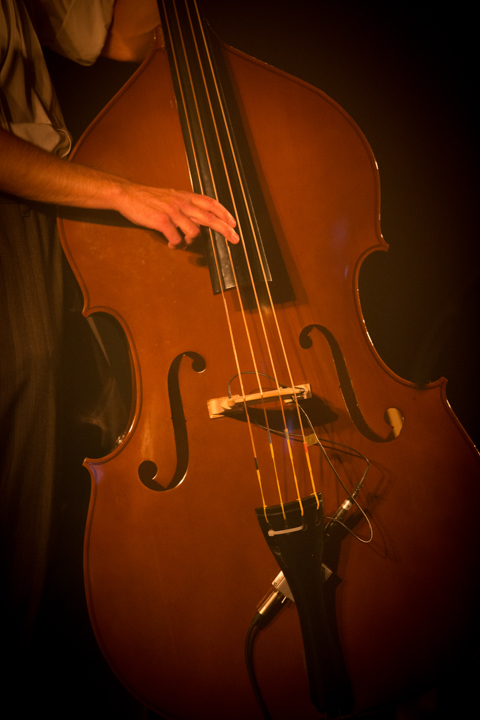 ParkBlues @ Burgemeesterpark Lommel, picture 51, photographed by FrontView Magazine