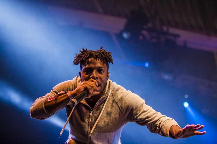 Les Ardentes Editie 2014 - donderdag, foto 1, foto's door sven dullaert - FrontView Magazine