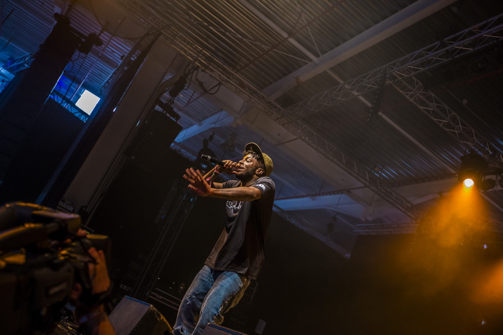 Les Ardentes Editie 2014 - donderdag, foto 3, foto's door sven dullaert - FrontView Magazine
