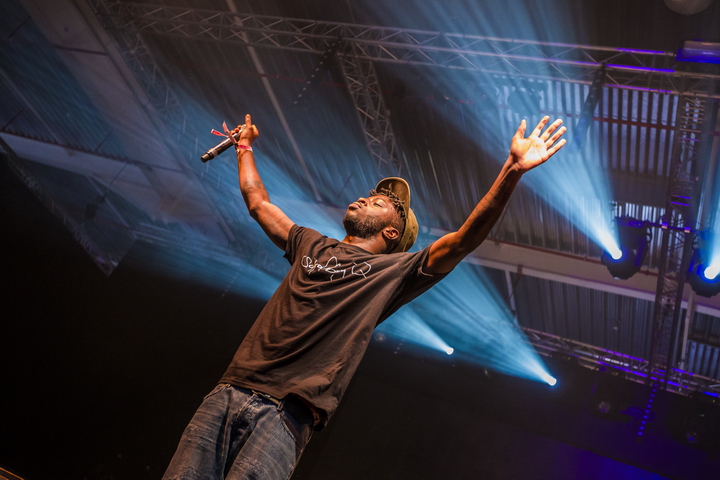 Les Ardentes Editie 2014 - donderdag, foto 4, foto's door sven dullaert - FrontView Magazine