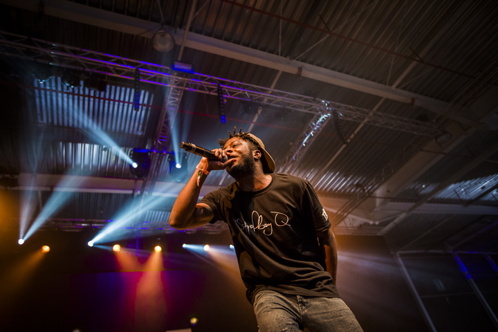 Les Ardentes Editie 2014 - donderdag, foto 5, foto's door sven dullaert - FrontView Magazine