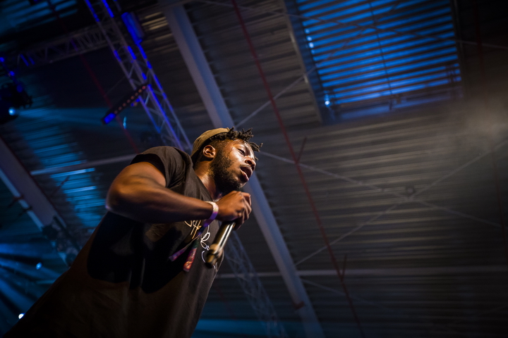 Les Ardentes Editie 2014 - donderdag, foto 8, foto's door sven dullaert - FrontView Magazine