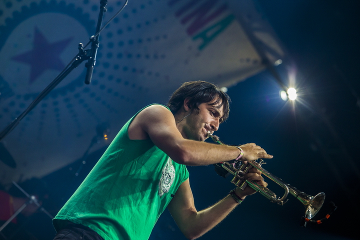 Les Ardentes Editie 2014 - donderdag, foto 29, foto's door sven dullaert - FrontView Magazine