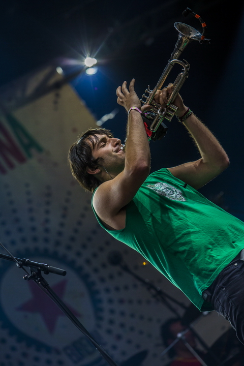 Les Ardentes Editie 2014 - donderdag, foto 35, foto's door sven dullaert - FrontView Magazine