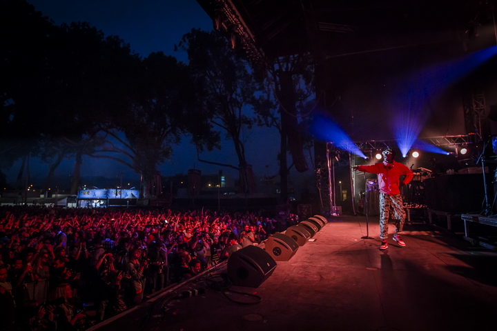 Les Ardentes Editie 2014 - donderdag, foto 73, foto's door sven dullaert - FrontView Magazine