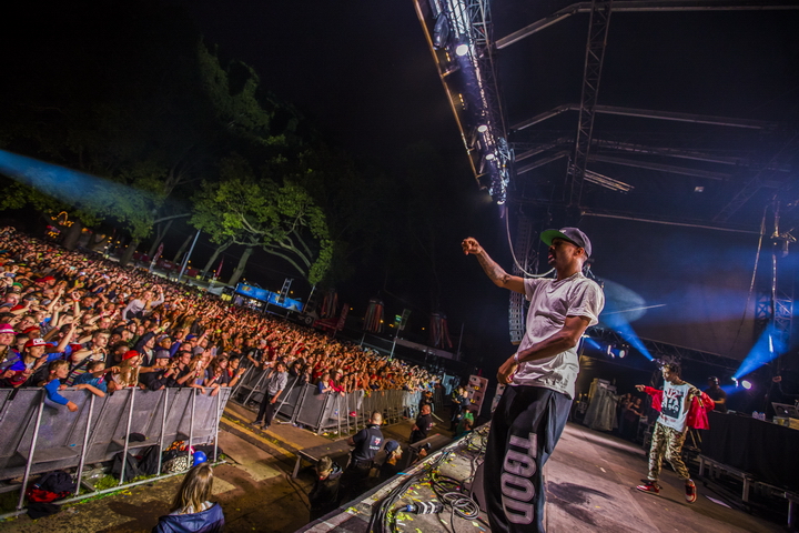 Les Ardentes Editie 2014 - donderdag, foto 81, foto's door sven dullaert - FrontView Magazine