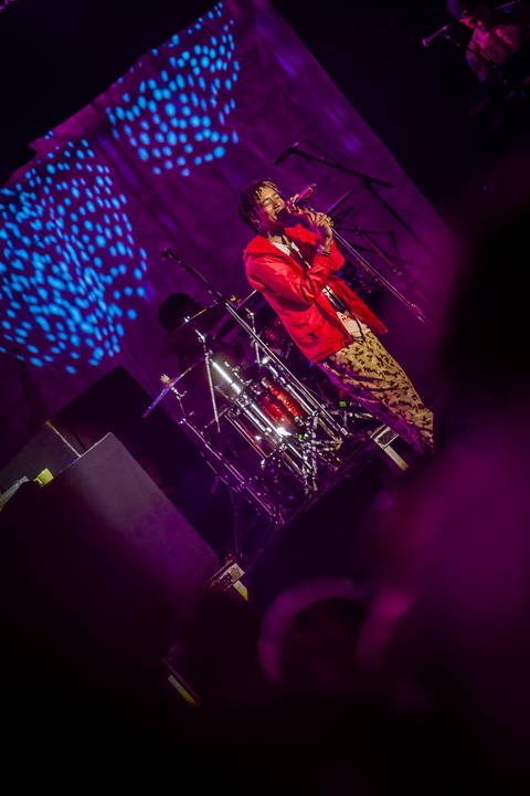 Les Ardentes Editie 2014 - donderdag, foto 84, foto's door sven dullaert - FrontView Magazine