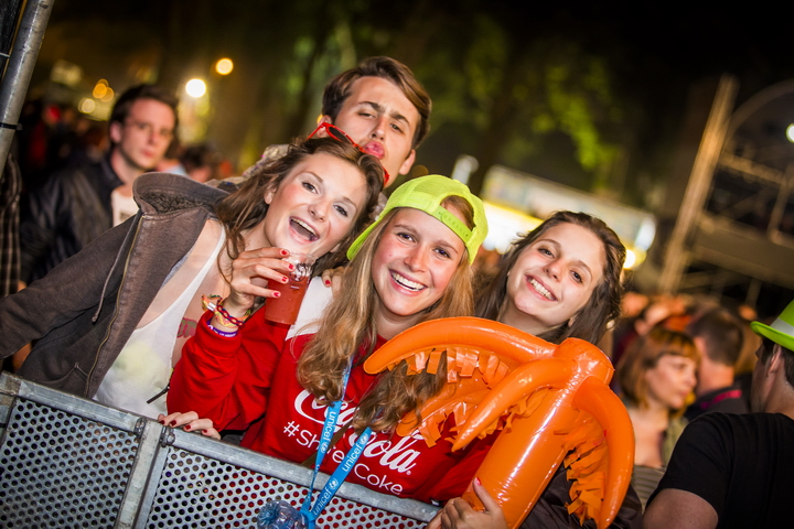 Les Ardentes Editie 2014 - donderdag, foto 105, foto's door sven dullaert - FrontView Magazine