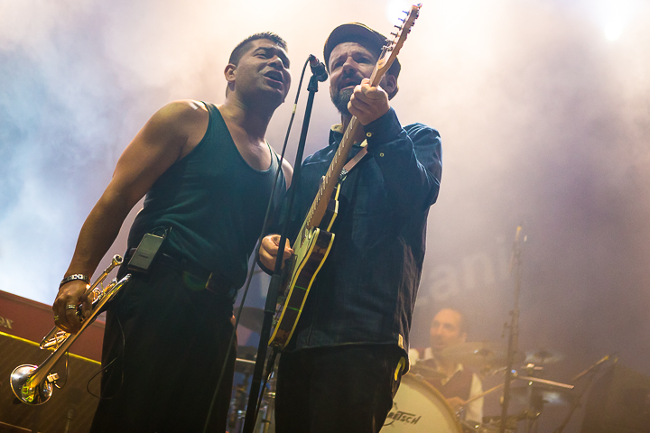Shantel & Bucovina Club Orkestar @ Rock Zottegem 2014, picture 20, photographed by Dorien Goetschalckx - FrontView Magazine