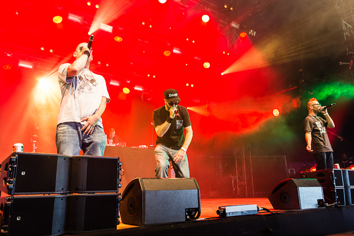 Halve Neuro @ Puurs Live 2014, picture 21, photographed by Edwin Houdevelt - FrontView Magazine