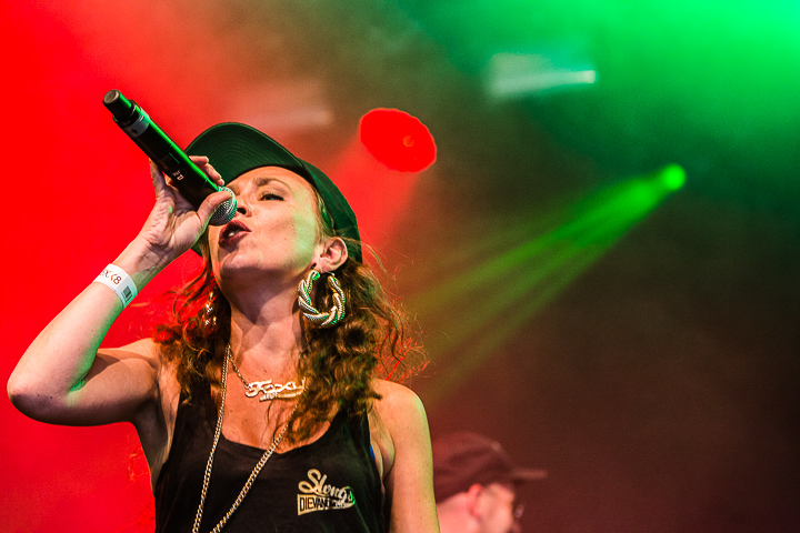 Halve Neuro @ Puurs Live 2014, picture 24, photographed by Edwin Houdevelt - FrontView Magazine