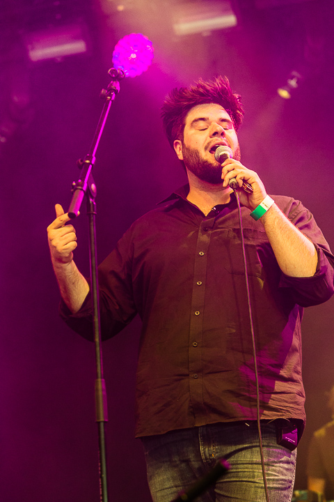 Delv!s @ Puurs Live 2014, picture 16, photographed by Edwin Houdevelt - FrontView Magazine