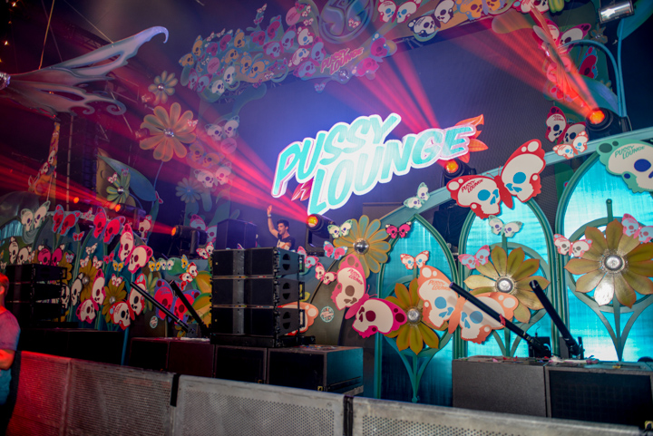 Tomorrowland sfeerbeelden & publieksfoto's 28 juni - deel 1, picture 48, photographed by Youri Vanlommel - FrontView Magazine