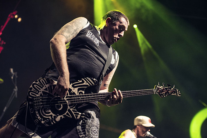 Manu Chao @ Esperanzah!, picture 12, photographed by Jef Peeters - FrontView Magazine