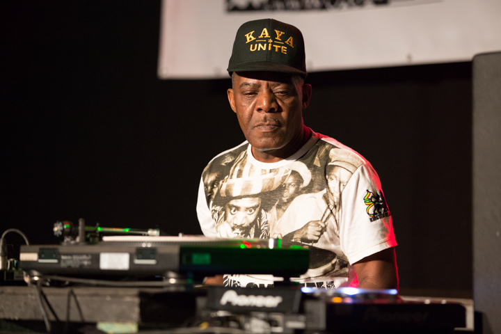 Reggae Geel Editie 2014 - Vriijdag, picture 33, photographed by FrontView Magazine
